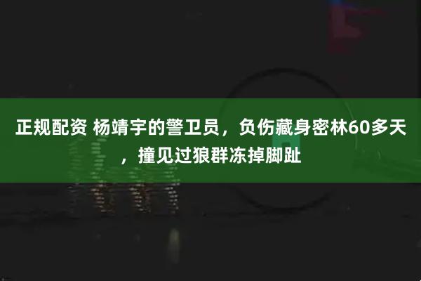 正规配资 杨靖宇的警卫员，负伤藏身密林60多天，撞见过狼群冻掉脚趾