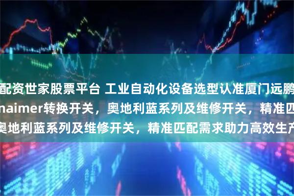 配资世家股票平台 工业自动化设备选型认准厦门远鹏，专注kraus&naimer转换开关，奥地利蓝系列及维修开关，精准匹配需求助力高效生产