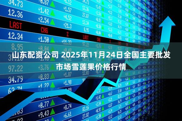 山东配资公司 2025年11月24日全国主要批发市场雪莲果价格行情